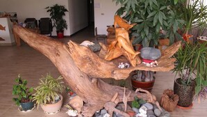 Ein Zimmer mit einer großen Holzskulptur, Topfpflanzen und verschiedenen Steinen.