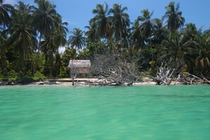 Ubicación a pie de playa, buceo con tubo, surf y pesca