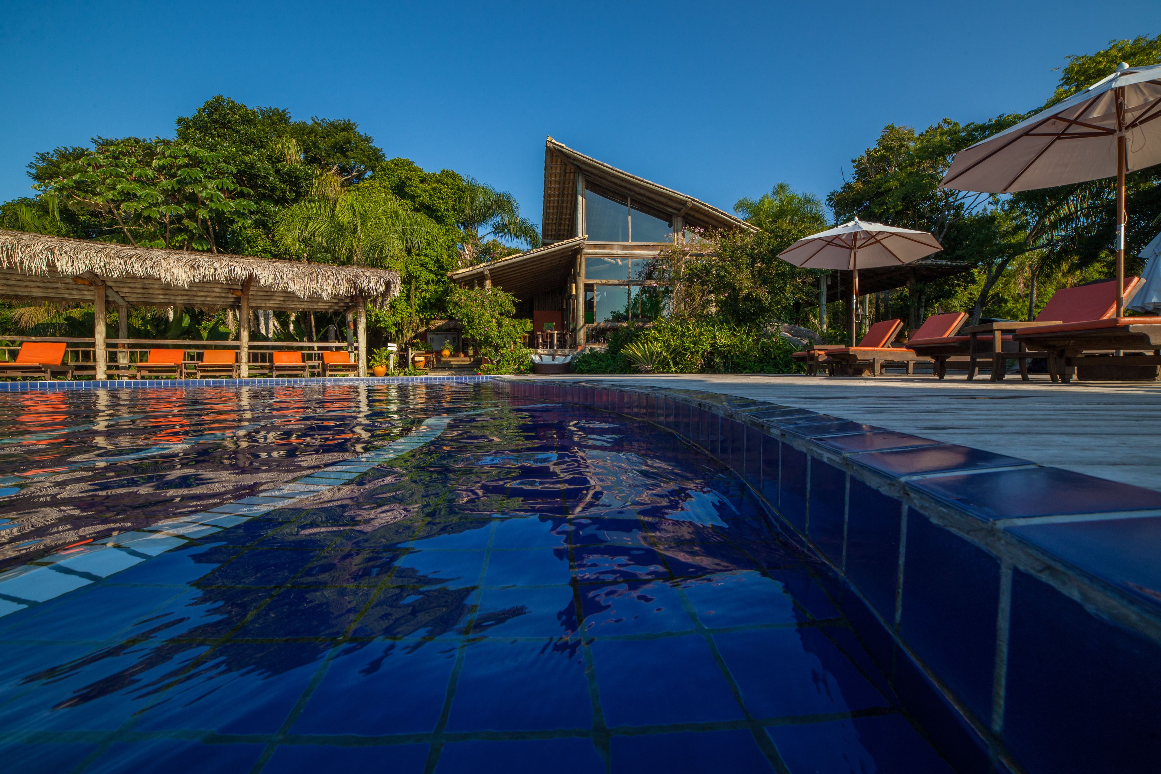 A swimming pool with a tiled edge, lounge chairs, umbrellas, and a building with large windows and a thatched roof structure.