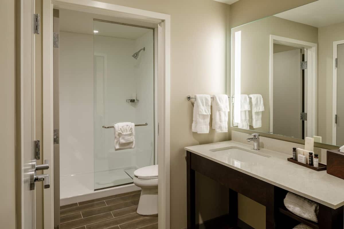 free toiletries, hair dryer, towels