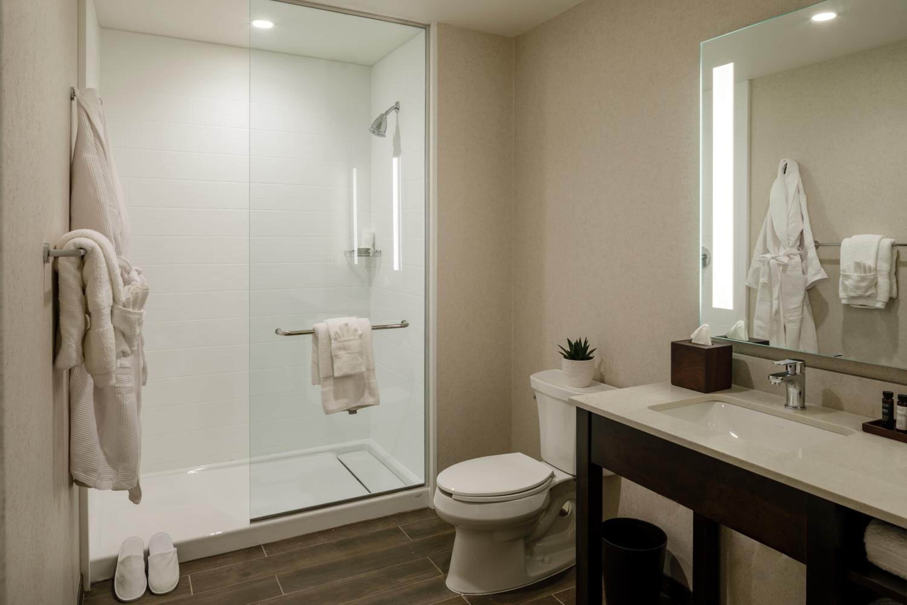 free toiletries, hair dryer, towels