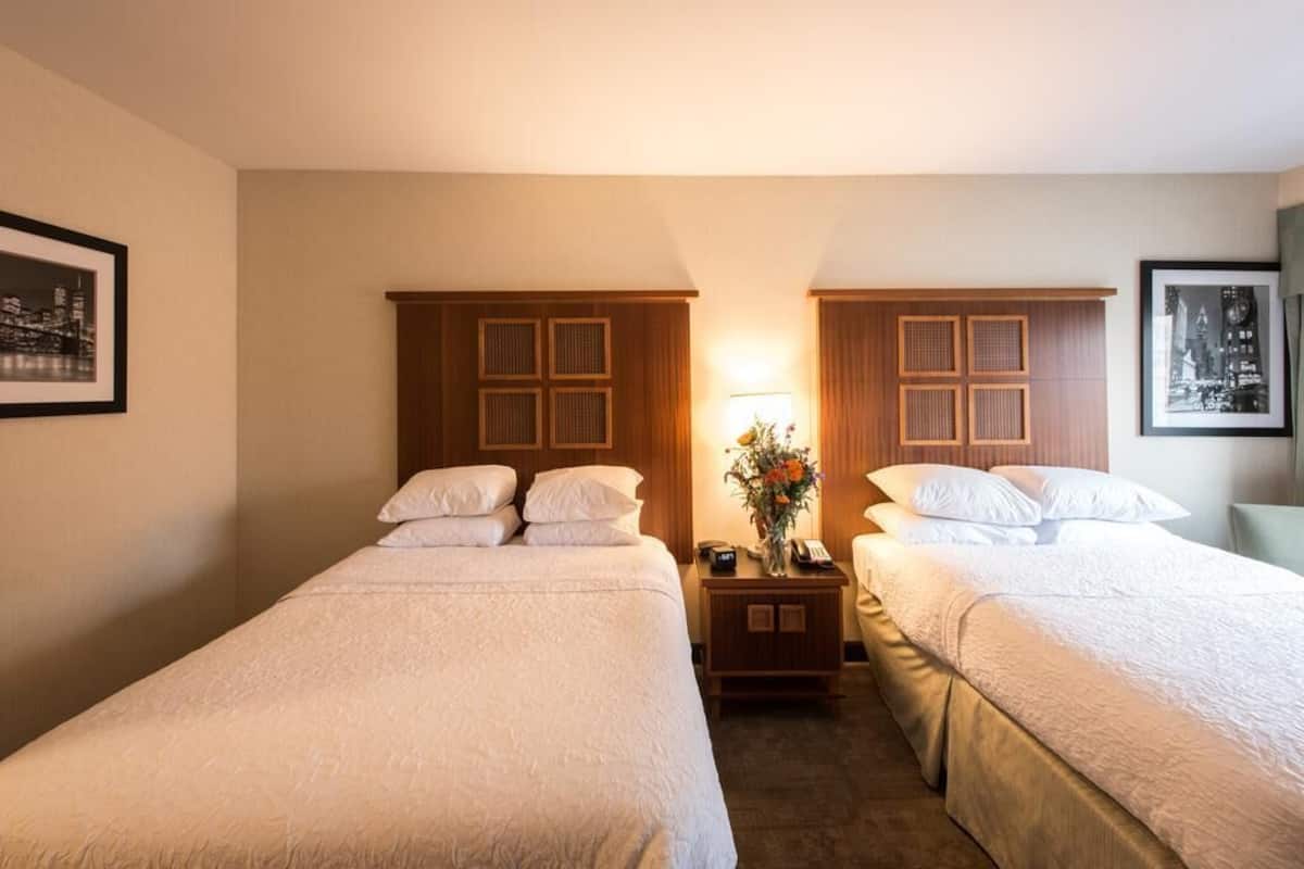 Soho 54 New York Hotel Reviews Rooms Prices Hoteles soho-54-new-york-hotel-reviews-rooms-prices-hoteles
