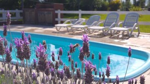 季節性室外游泳池，提供日光浴躺椅