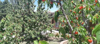 Villa Ciruelos