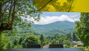 Outdoor dining - Beautiful renovated stone house with large garden in the heart of the Pyrenees (Gourbit)