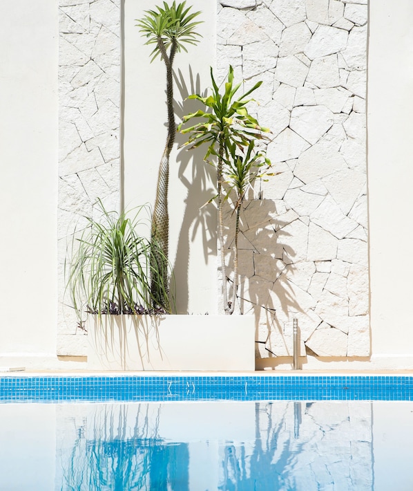 Outdoor pool, sun loungers