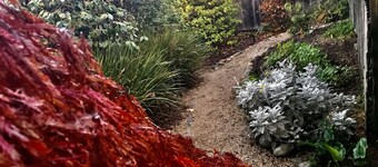 4th house from Twin Lakes Beach and a 2 minute walk to the Crow’ Nest and Harbor