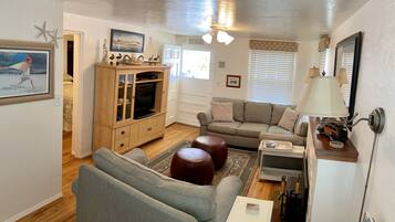 Smart TV, fireplace, DVD player, books