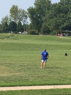 Golfe