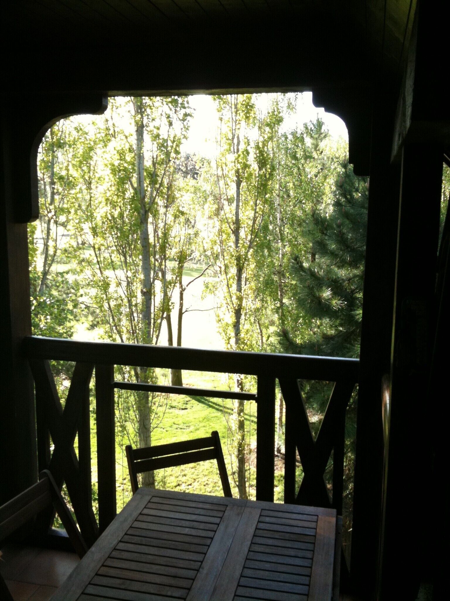 A wooden deck with a table and chairs, overlooking a forested area.