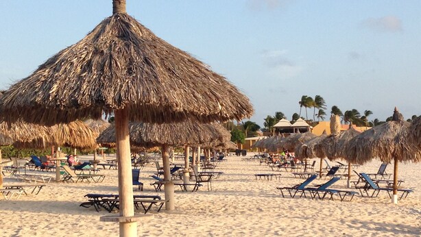 Une plage avec des parasols en chaume et des chaises longues.