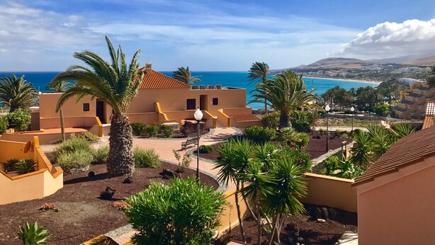 A coastal residential area with buildings, palm trees, and a view of the sea.