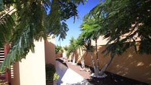 A corridor with tiled flooring, palm trees, and a beige wall.