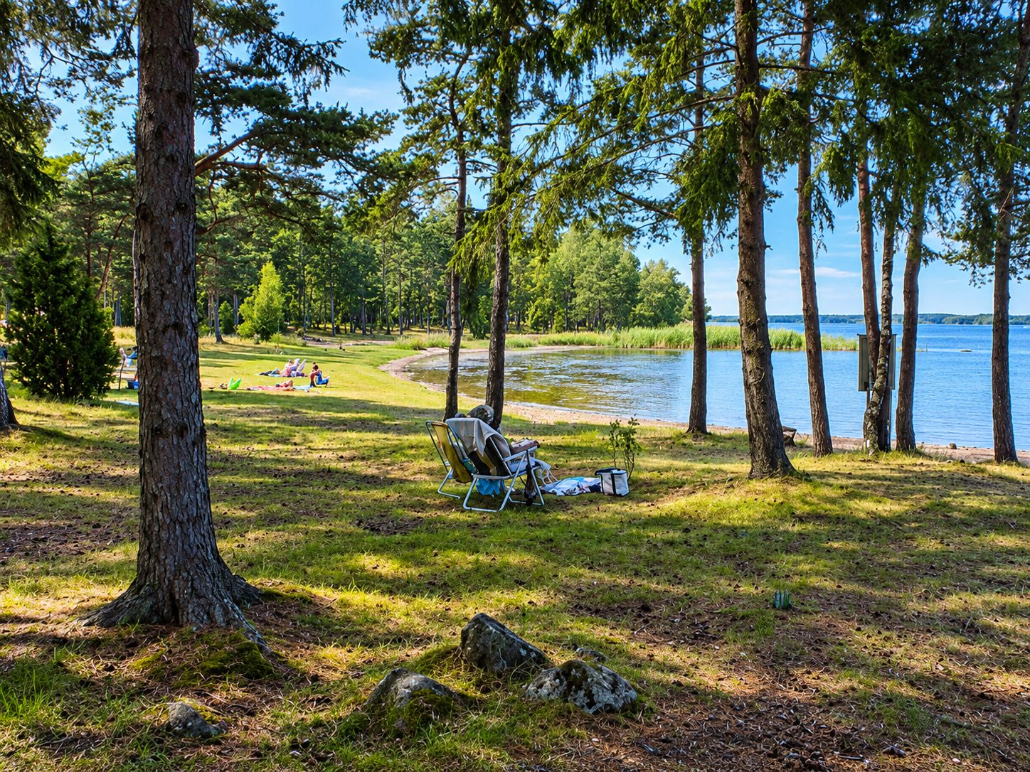 Un campeggio sul lago con alberi, una sedia e un tavolo da picnic.