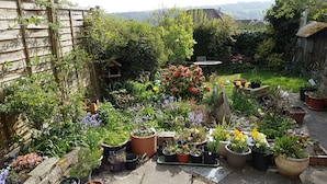 Ein Garten mit verschiedenen Blumentöpfen und Blumen, einem Holzzaun und einem Kiesweg.