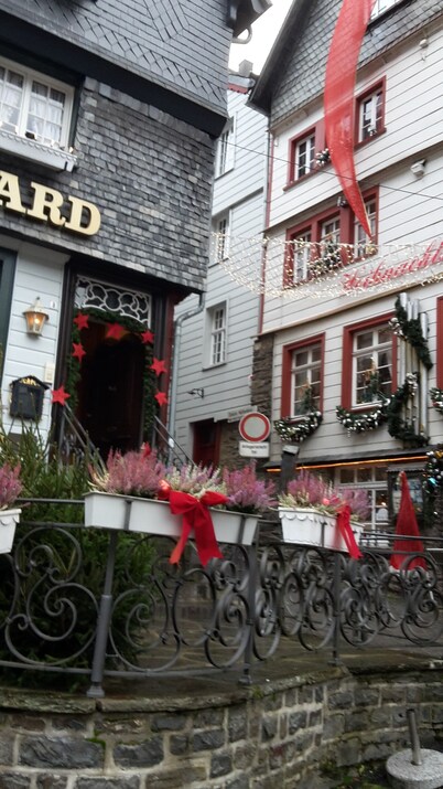 *** Star apartment, large terrace on the south slope with panoramic views near the Rursee 