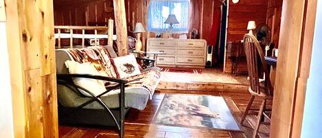 TV, DVD player, books, video library