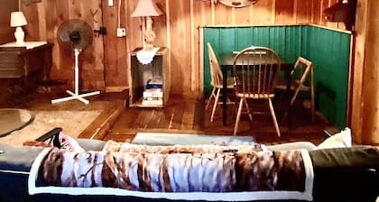 Wilderness Spirit Cabins 'Bear Cave' cabin-family friendly/sportsman paradise