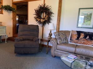 TV, DVD player, books, video library