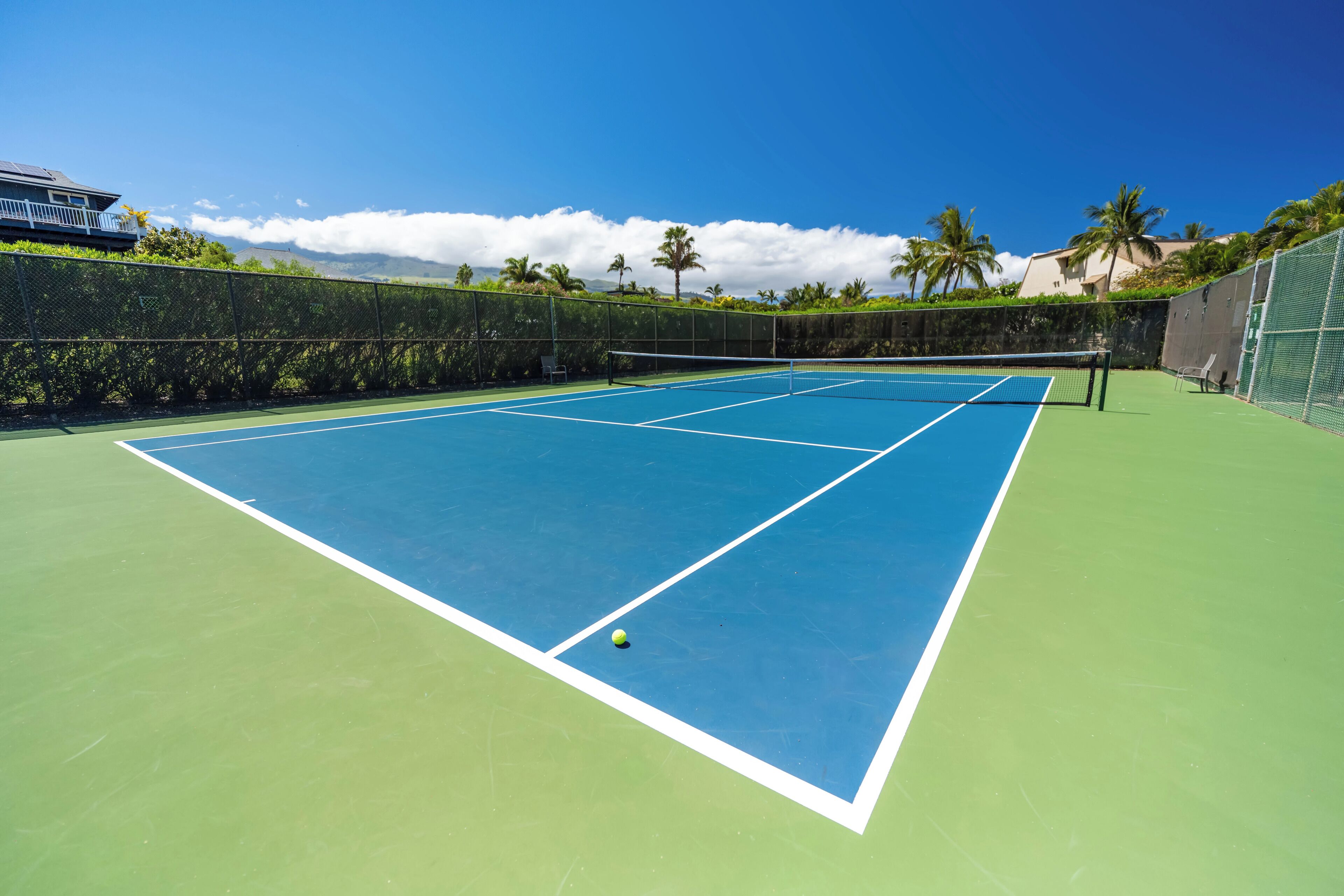 An outdoor tennis court with a net, surrounded by a green fence and palm trees.