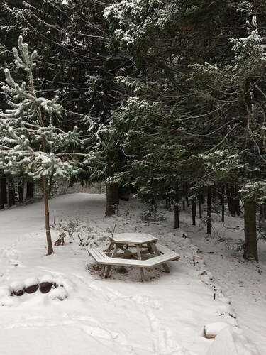 Book Your Getaway Now!