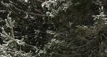 Reserve su escapada de verano ahora