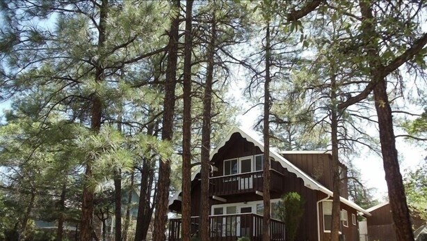A cabin surrounded by tall pine trees, with a stone wall and a wooden deck. - Charming Chalet - Walk to Whiskey Row! Dog friendly (Prescott)