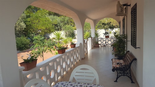 The scents of the Puglia countryside a stone's throw from the sea of ​​Polignano a Mare