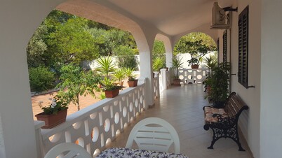 The scents of the Puglia countryside a stone's throw from the sea of ​​Polignano a Mare