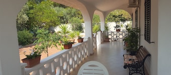 ポリニャーノアマーレの海の近くのプーリアの田園地帯の香り