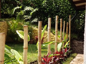 Property grounds - Comfortable and Peaceful stay in Monteverde (Monteverde)