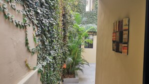 A narrow corridor with a wall covered in climbing plants, a potted plant, and a wall-mounted art piece. - Departamentos en Manta (Manta)