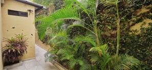 32-inch Smart TV with digital channels, TV, Netflix - Departamentos en Manta (Manta)