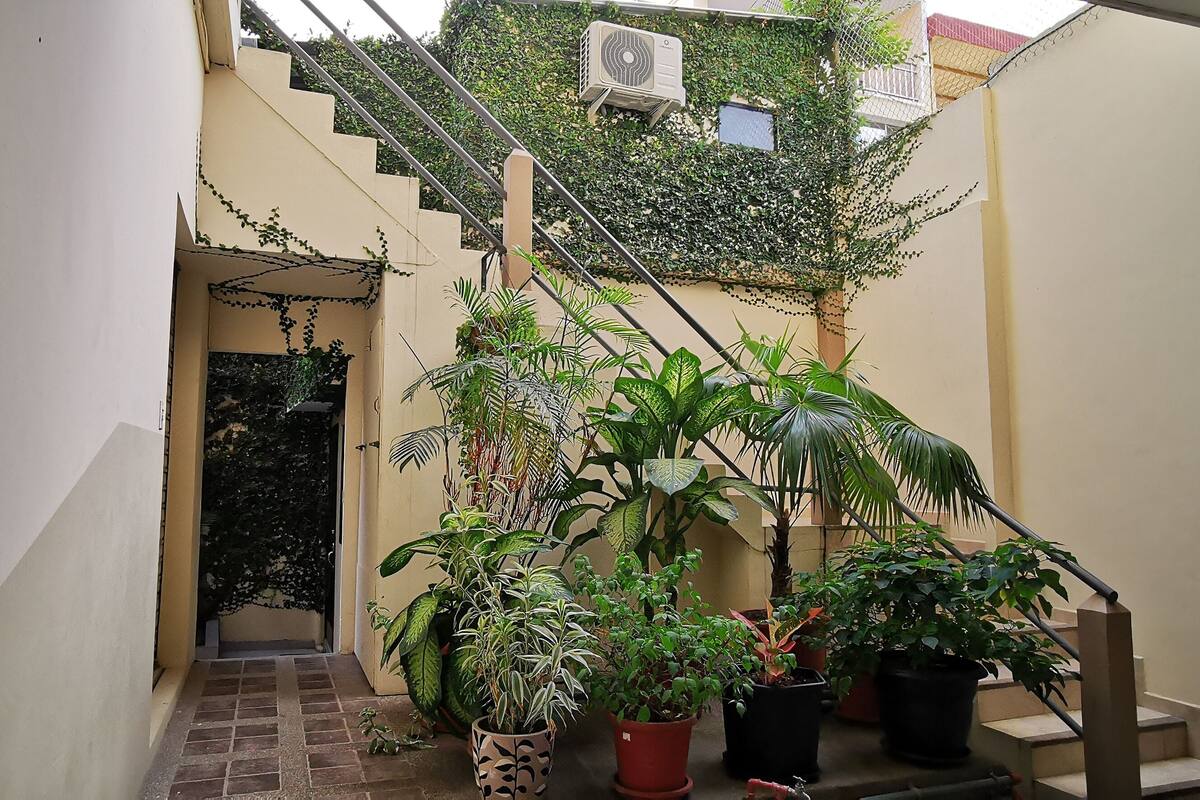 A narrow alleyway with a staircase leading to a building. There are several potted plants along the path.