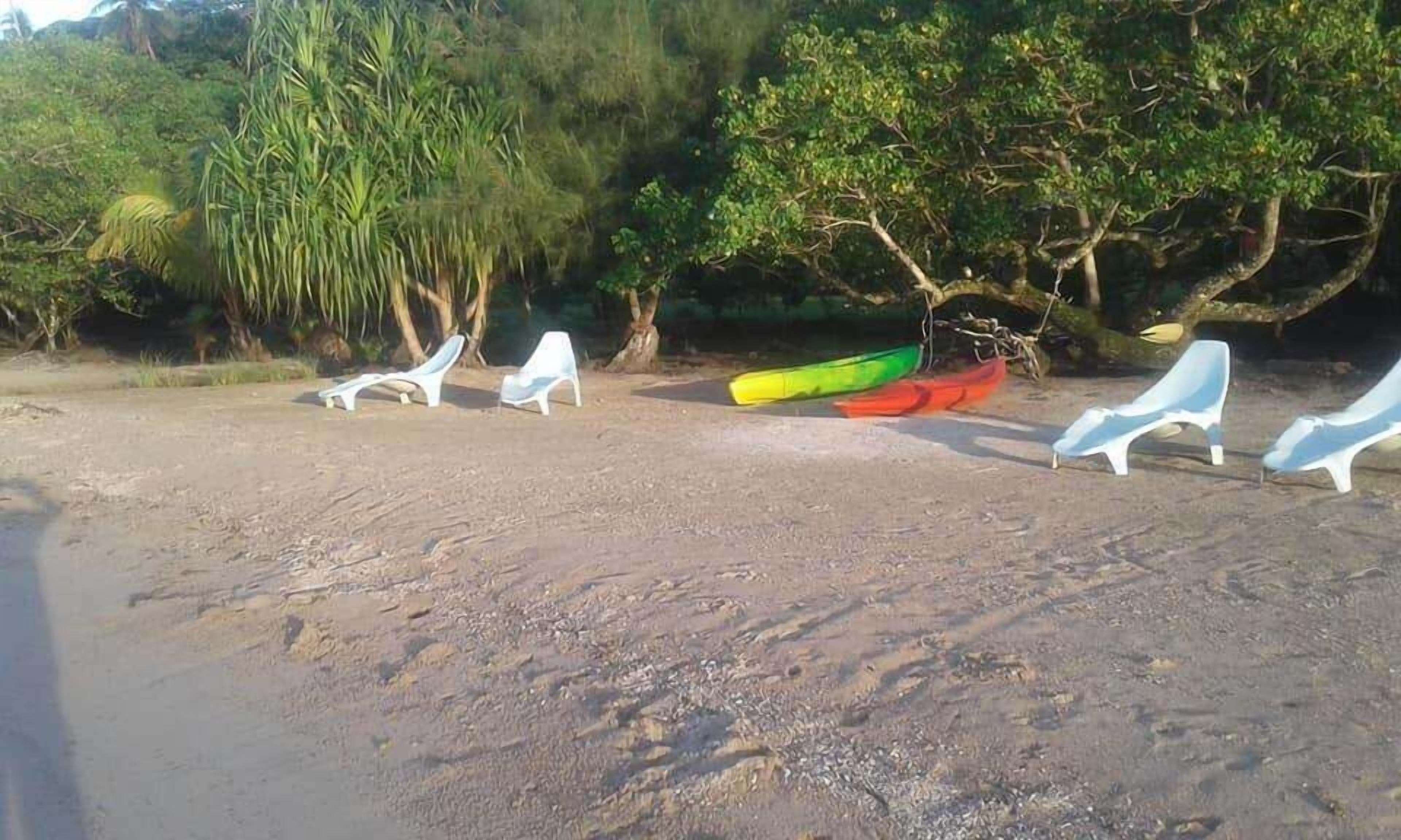 Una playa arenosa con sillas de playa blancas y canoas.