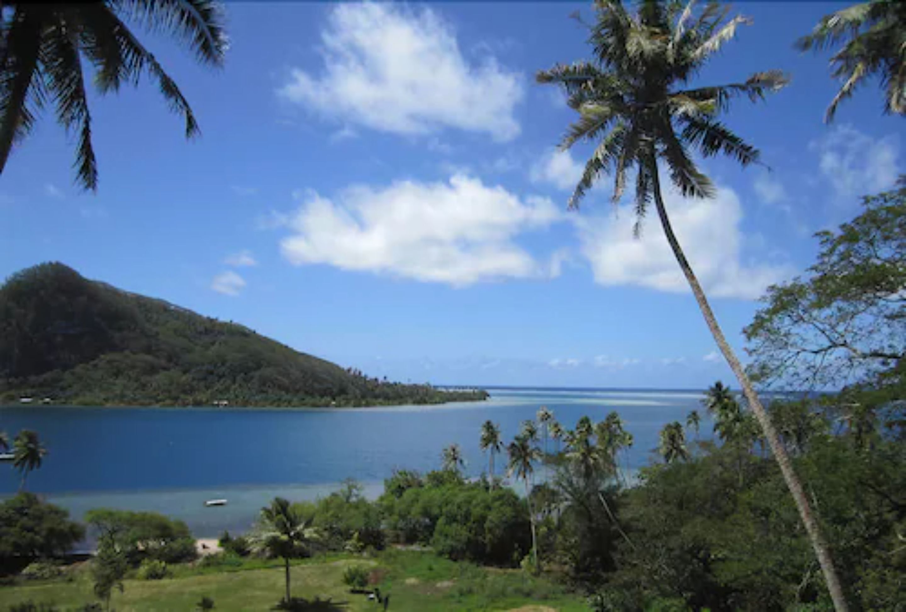 A tropical landscape with a clear view of a large body of water, a distant island, and palm trees.