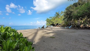 A beach with a clear sky, palm trees, and a few people in the distance. - Fare Oviri Lodge (Raiatea)