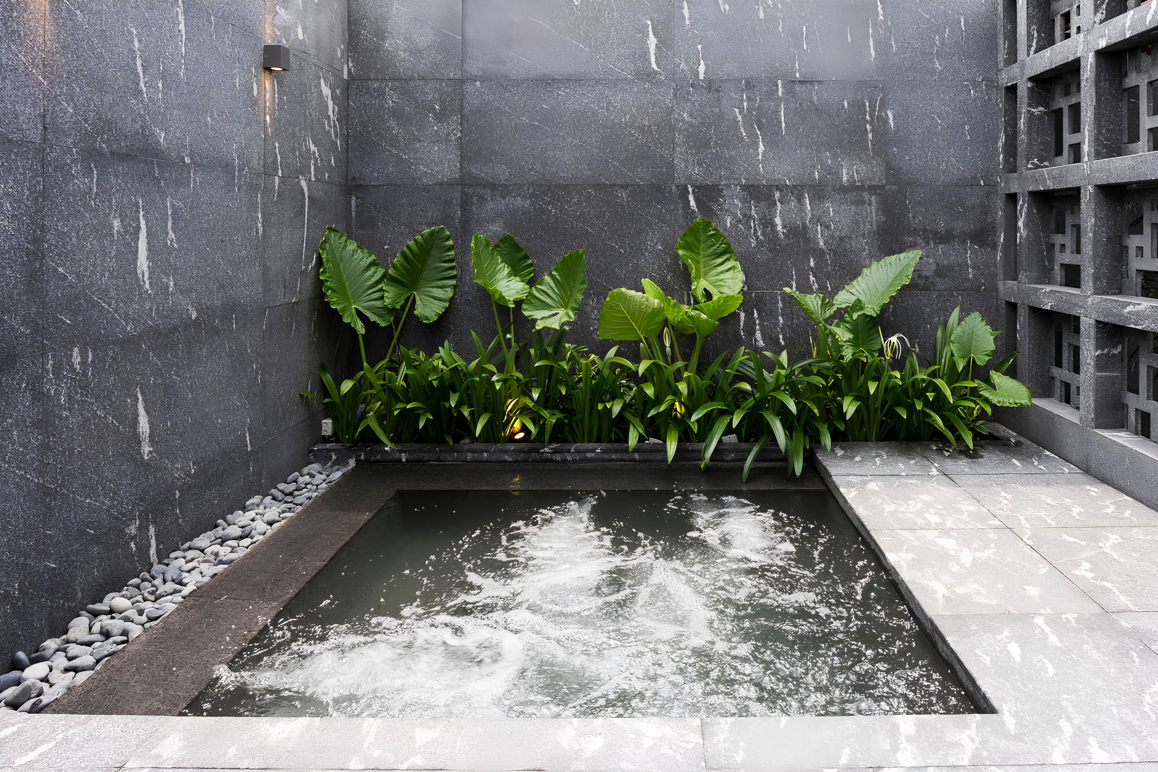 Una fuente con borde de piedra, rodeada de plantas verdes grandes y una pared gris.