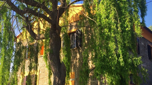 Una mesa de picnic frente a un edificio de piedra, con un árbol que da sombra.