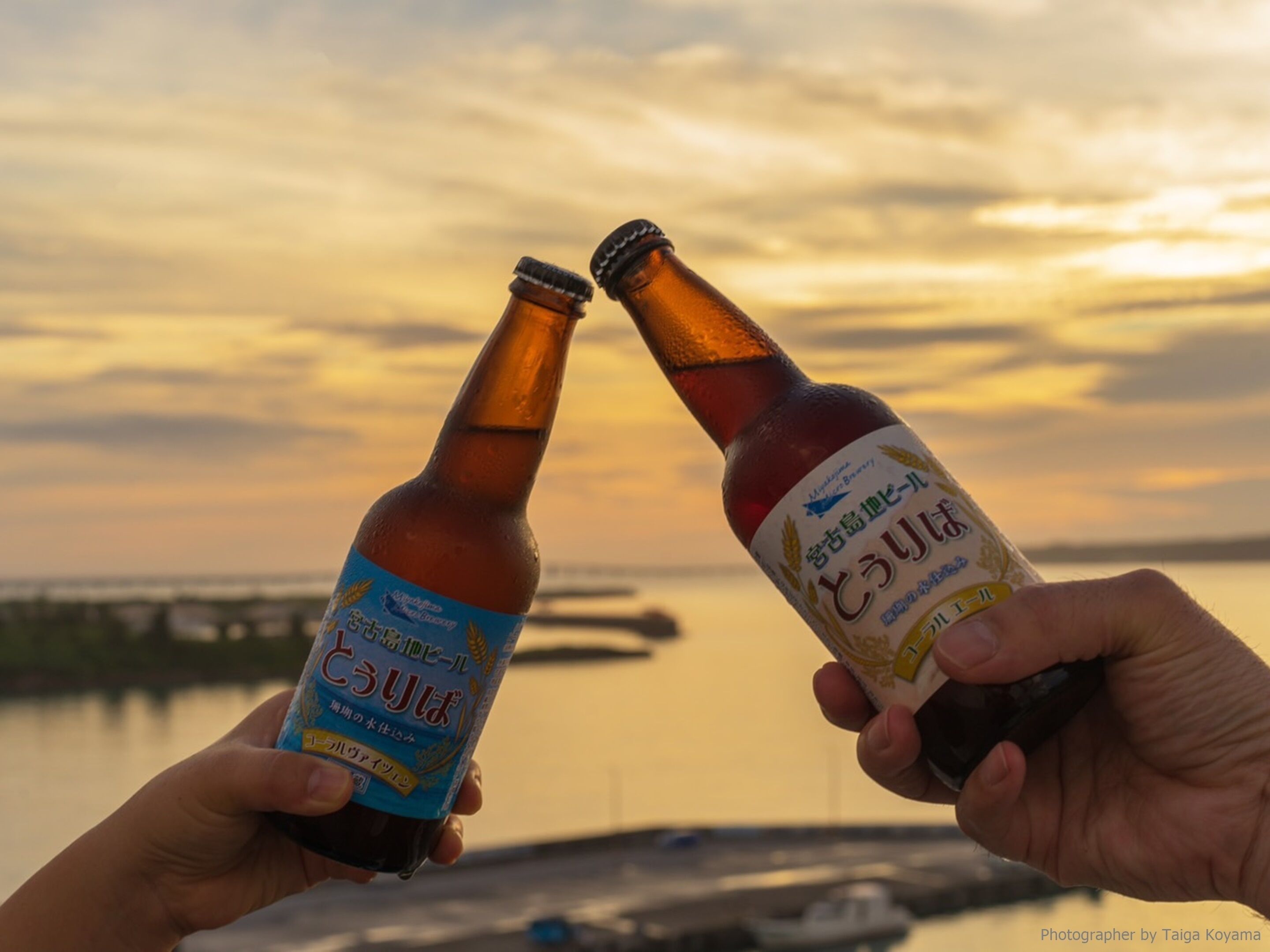 Two bottles of beer being held by hands against a sunset backdrop.