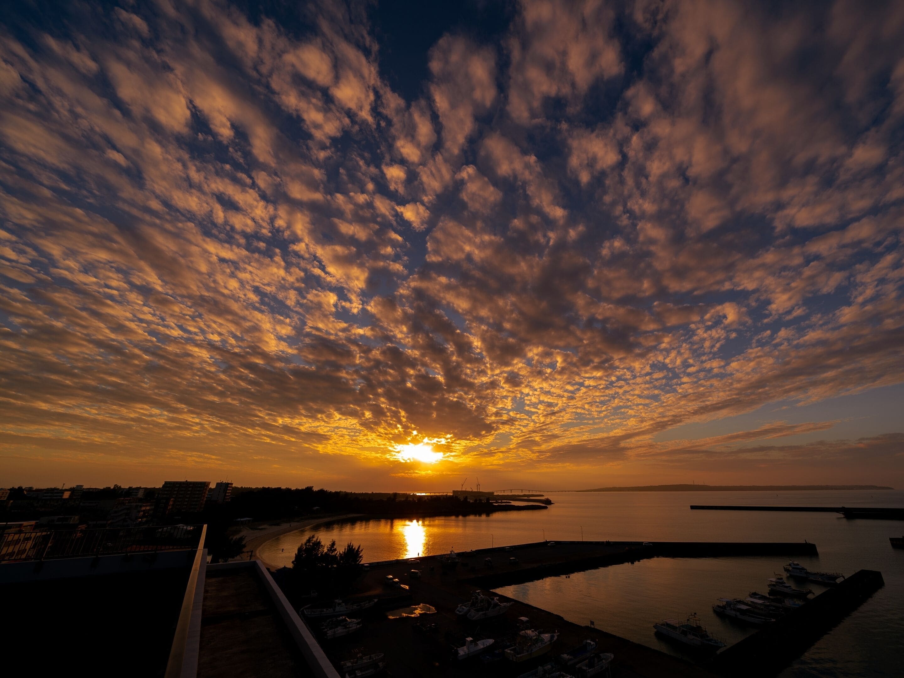 A sunset over a harbor with boats docked, a bridge in the distance, and a city skyline.