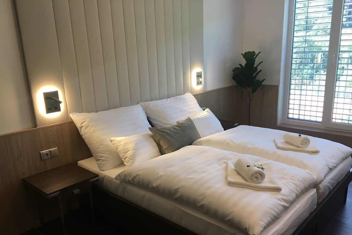 Habitación Deluxe con 1 cama doble o 2 individuales | Minibar, caja fuerte, escritorio y cortinas opacas