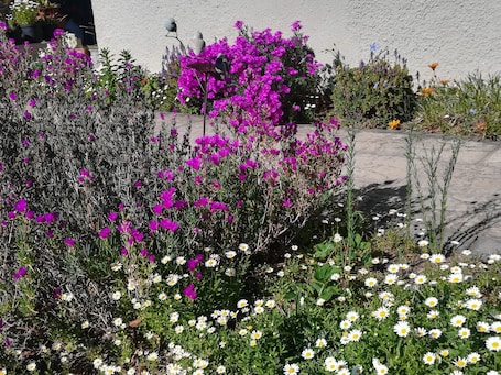 Jardín