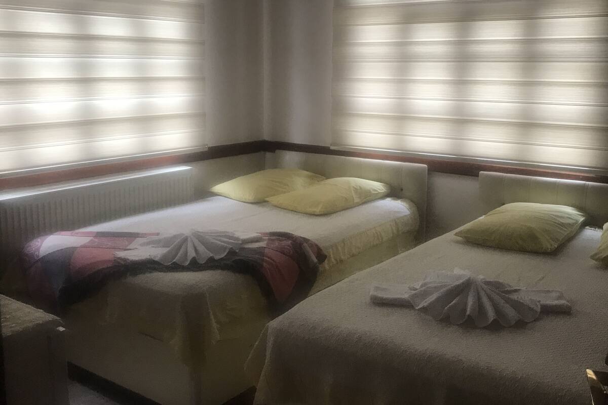 Standard Triple Room, Smoking | Desk, iron/ironing board (on request), cribs (free), WiFi (free)