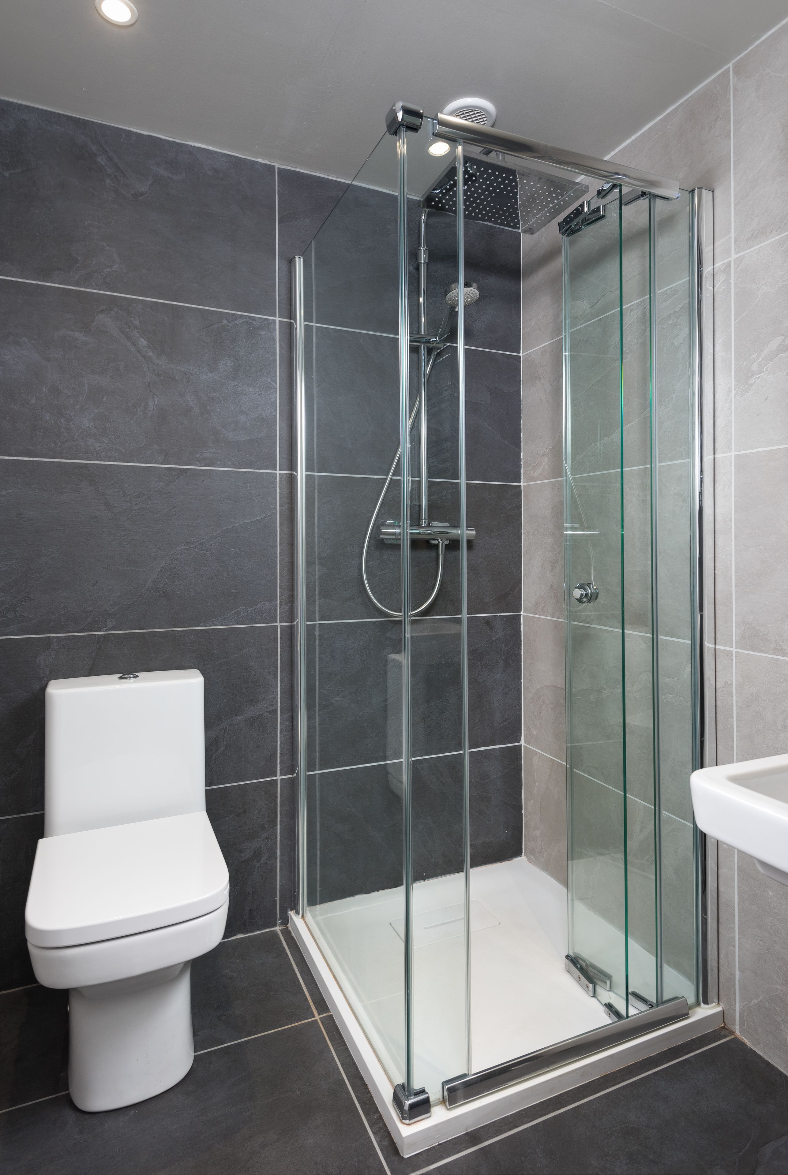 A modern bathroom with a glass-enclosed shower, a white toilet, and a sink.