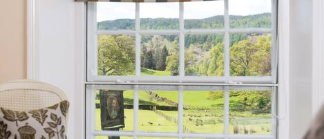 A window with a view of a green landscape, a patterned cushion, and a framed picture.