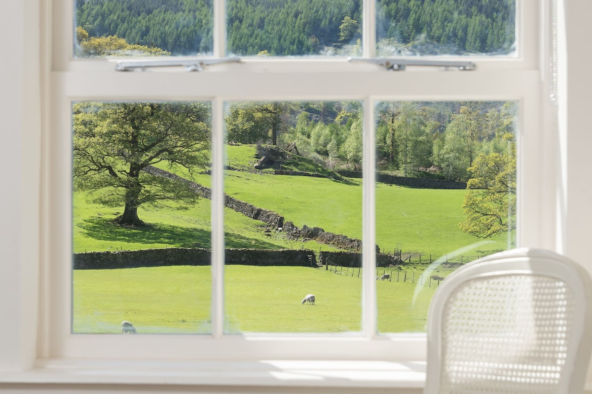 A room with a window overlooking a green landscape, a white chair, and a checkered window valance.