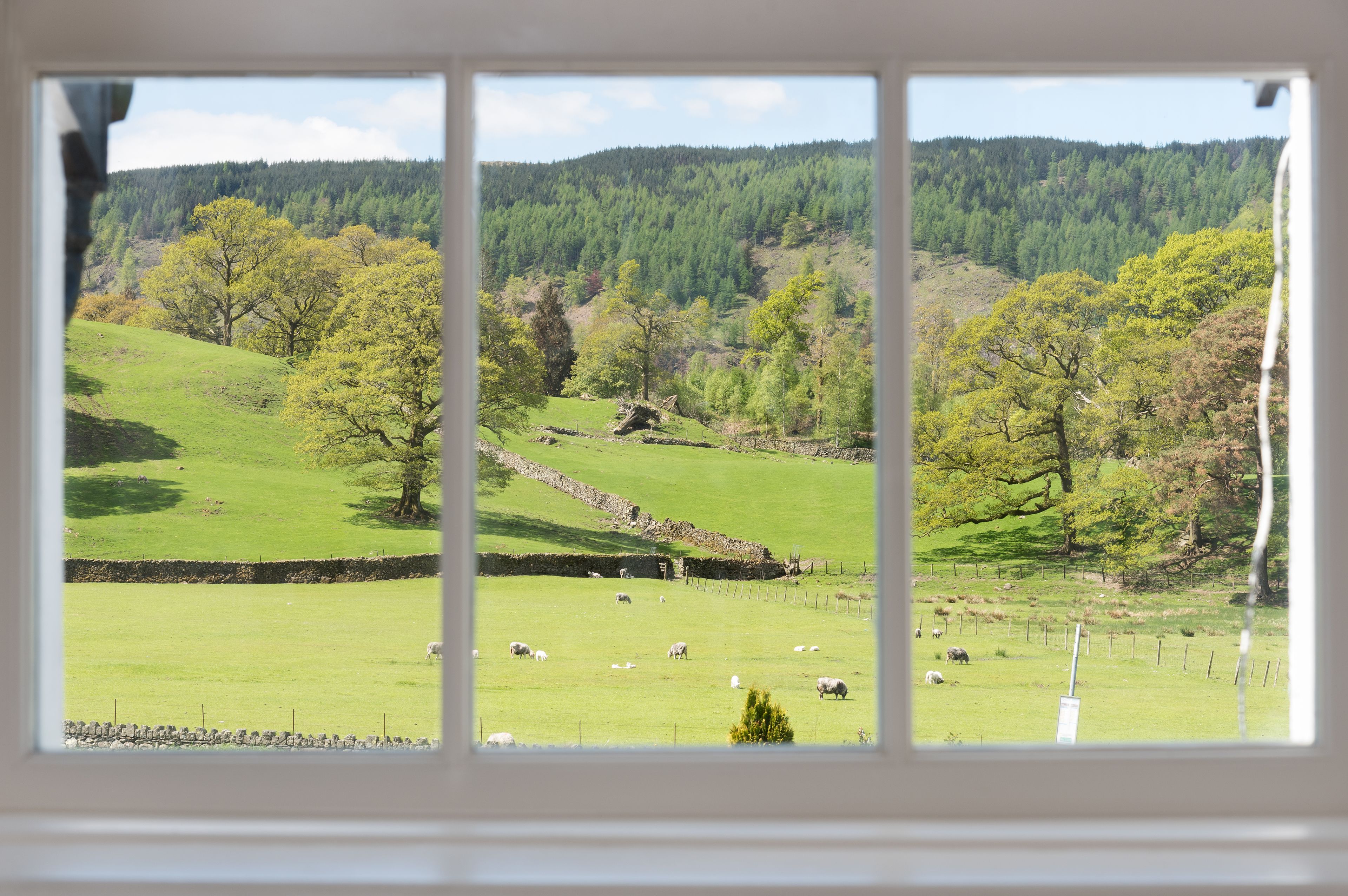 A view of a green field with sheep, a stone wall, and trees.