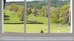 A view of a green field with sheep, a stone wall, and trees.