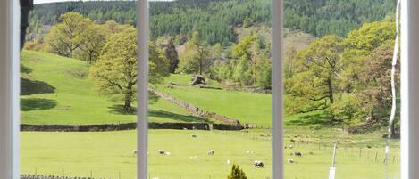 A view of a green field with sheep, a stone wall, and trees.